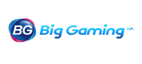 big-gaming.net